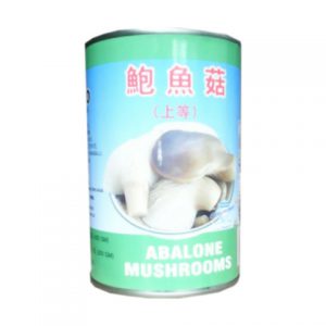 abalon mushroom